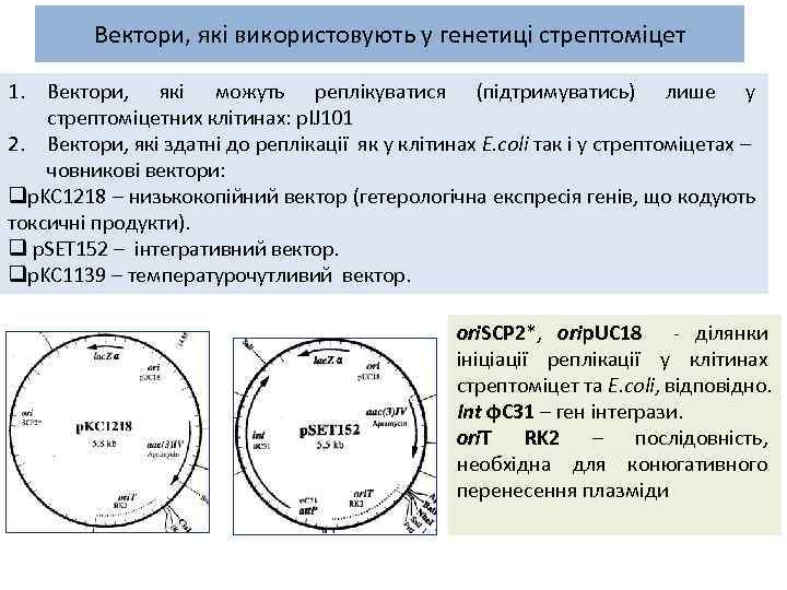 Вектори, які використовують у генетиці стрептоміцет 1. Вектори, які можуть реплікуватися (підтримуватись) лише у