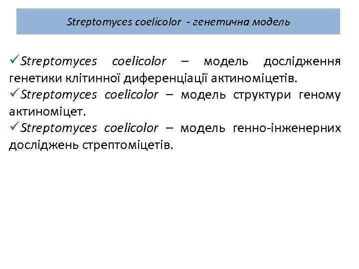 Streptomyces coelicolor - генетична модель üStreptomyces coelicolor – модель дослідження генетики клітинної диференціації актиноміцетів.