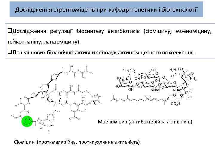 Дослідження стрептоміцетів при кафедрі генетики і біотехнології q. Дослідження регуляції біосинтезу антибіотиків (сіоміцину, моеноміцину,
