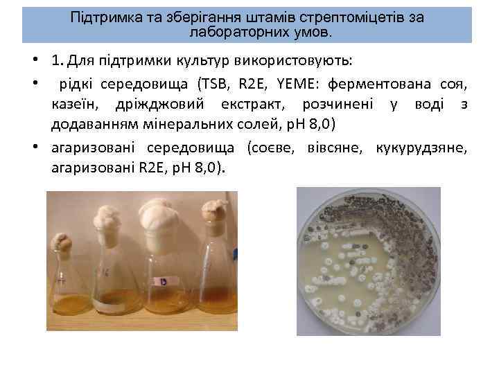 Підтримка та зберігання штамів стрептоміцетів за лабораторних умов. • 1. Для підтримки культур використовують: