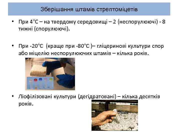Зберішання штамів стрептоміцетів • При 4°С – на твердому середовищі – 2 (неспорулюючі) -