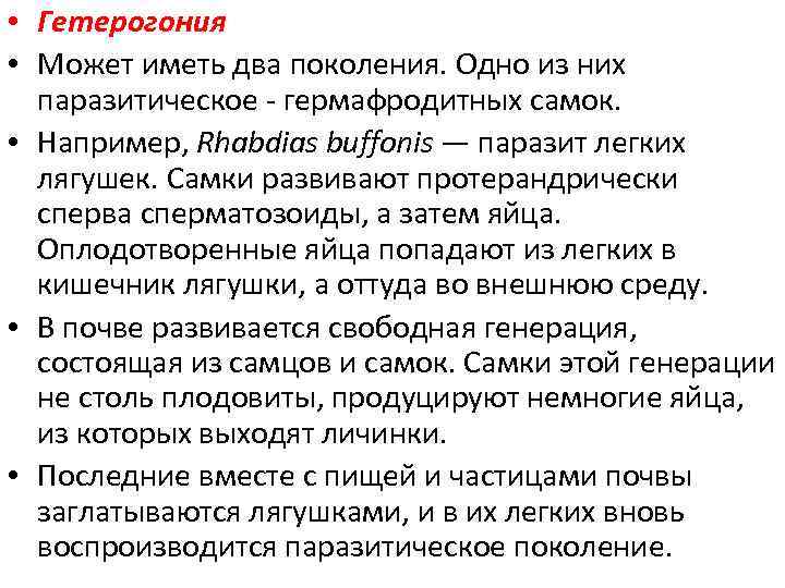  • Гетерогония • Может иметь два поколения. Одно из них паразитическое - гермафродитных