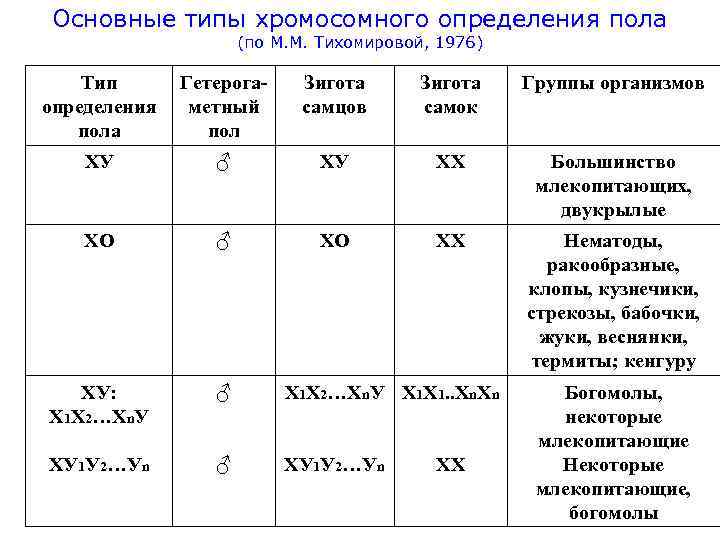 Основные типы хромосомного определения пола (по М. М. Тихомировой, 1976) Тип определения пола Гетерогаметный