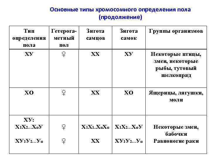 Основные типы хромосомного определения пола (продолжение) Тип Гетерогаопределения метный пола пол Зигота самцов Зигота