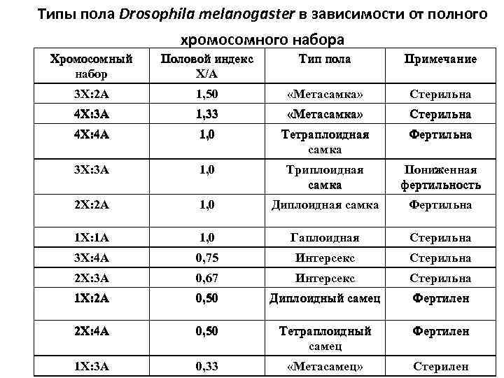 Типы пола Drosophila melanogaster в зависимости от полного хромосомного набора Хромосомный набор Половой индекс