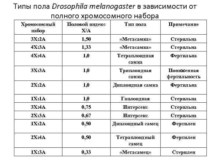 Типы пола Drosophila melanogaster в зависимости от полного хромосомного набора Хромосомный набор Половой индекс