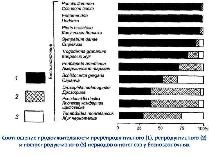 Соотношение продолжительности пререпродуктивного (1), репродуктивного (2) и пострепродуктивного (3) периодов онтогенеза у беспозвоночных 