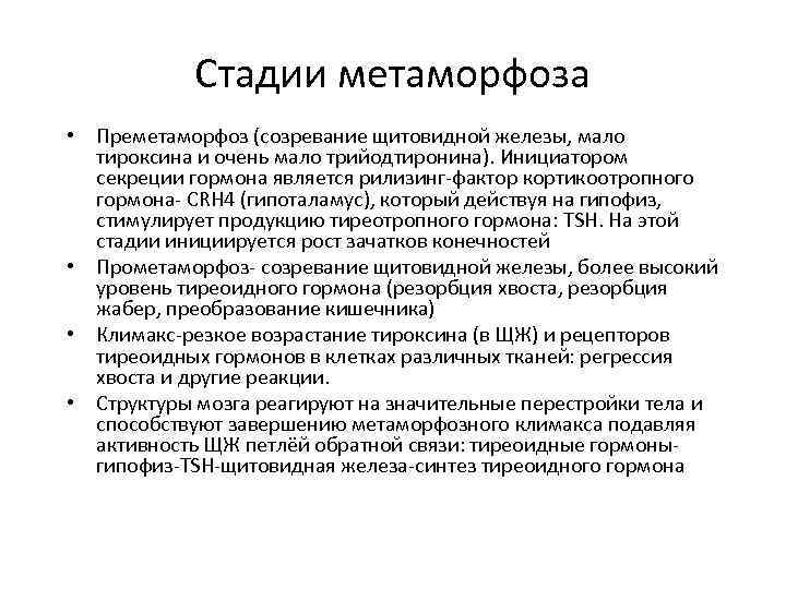 Стадии метаморфоза • Преметаморфоз (созревание щитовидной железы, мало тироксина и очень мало трийодтиронина). Инициатором