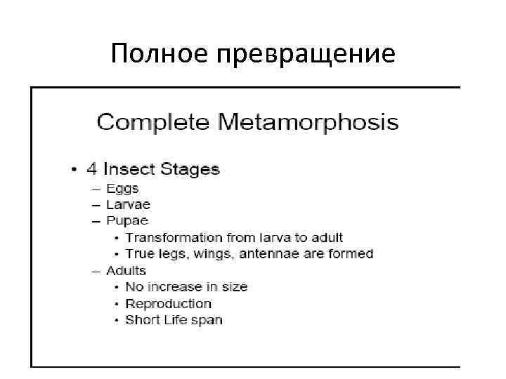 Полное превращение 