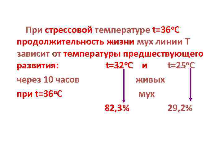 При стрессовой температуре t=36 о. С продолжительность жизни мух линии Т зависит от температуры