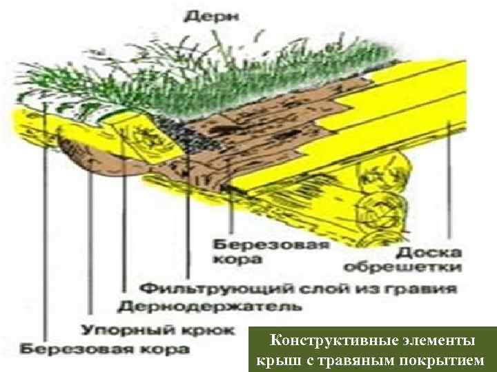 Конструктивные элементы крыш с травяным покрытием 