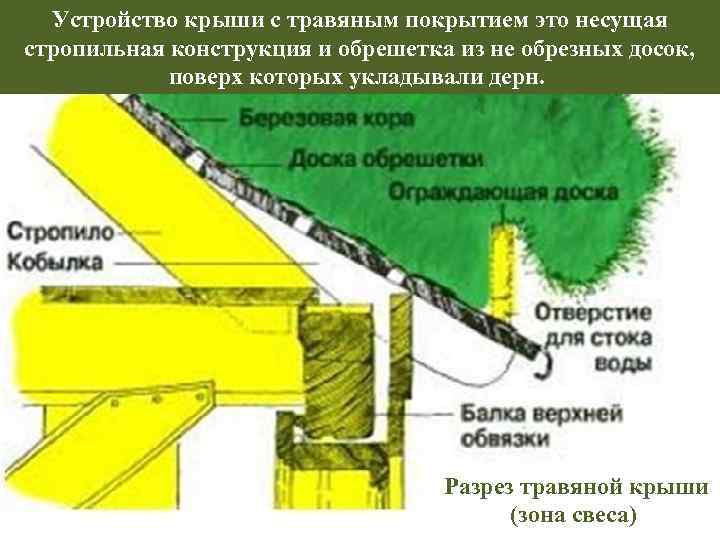 Устройство крыши с травяным покрытием это несущая стропильная конструкция и обрешетка из не обрезных