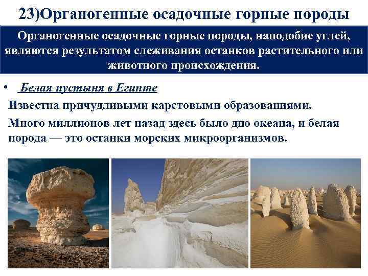 Осадочные горные породы где. Органогенные осадочные горные породы. Органогенные горные породы классификация. Классификация осадочных органогенных горных пород. Хемогенные осадочные горные породы.