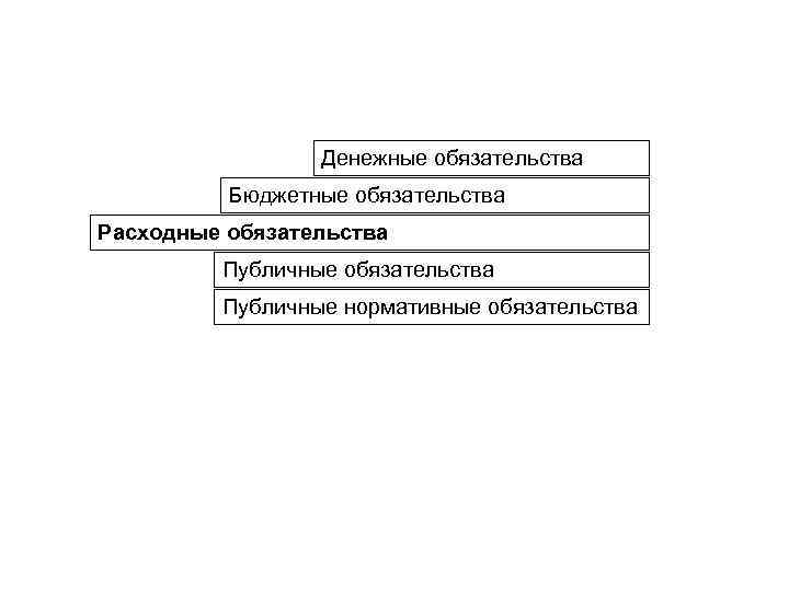 Денежные обязательства Бюджетные обязательства Расходные обязательства Публичные нормативные обязательства 