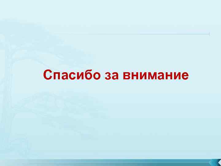 Спасибо за внимание 