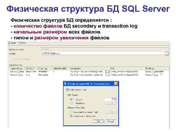 Физическая структура БД SQL Server Физическая структура БД определяется : - количество файлов БД