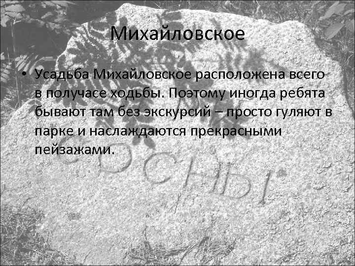 Михайловское • Усадьба Михайловское расположена всего в получасе ходьбы. Поэтому иногда ребята бывают там