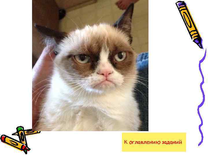 Тема «Оружие» 800 баллов К оглавлению заданий 