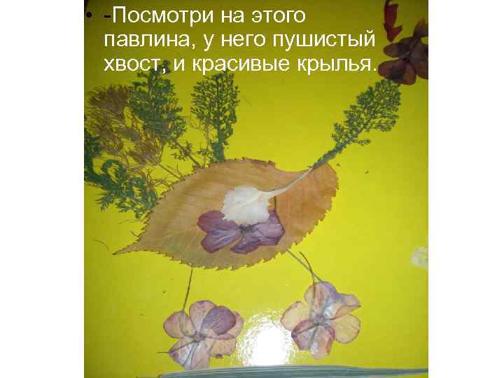  • -Посмотри на этого павлина, у него пушистый хвост, и красивые крылья. 