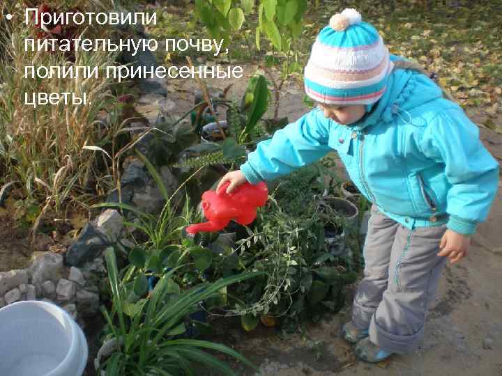  • Приготовили питательную почву, полили принесенные цветы. 