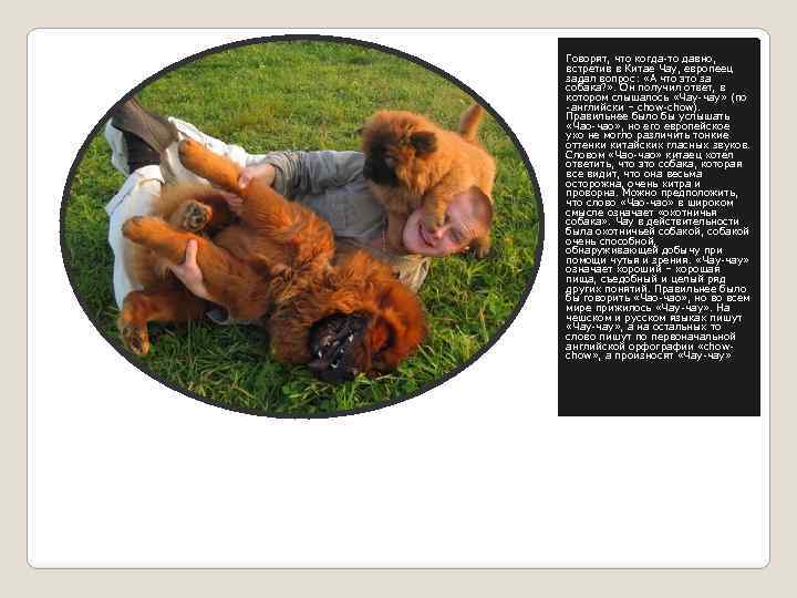 Говорят, что когда-то давно, встретив в Китае Чау, европеец задал вопрос: «А что это