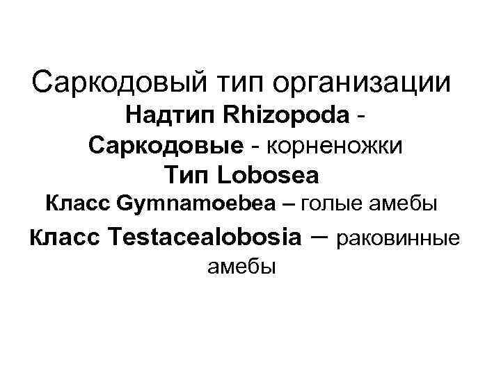 Саркодовый тип организации Надтип Rhizopoda Саркодовые - корненожки Тип Lobosea Класс Gymnamoebea – голые