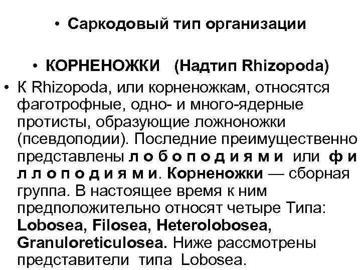  • Саркодовый тип организации • КОРНЕНОЖКИ (Надтип Rhizopoda) • К Rhizopoda, или корненожкам,