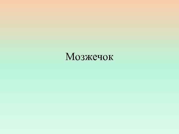 Мозжечок 