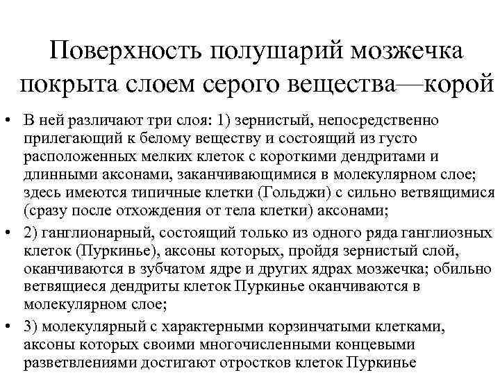 Поверхность полушарий мозжечка покрыта слоем серого вещества—корой • В ней различают три слоя: 1)