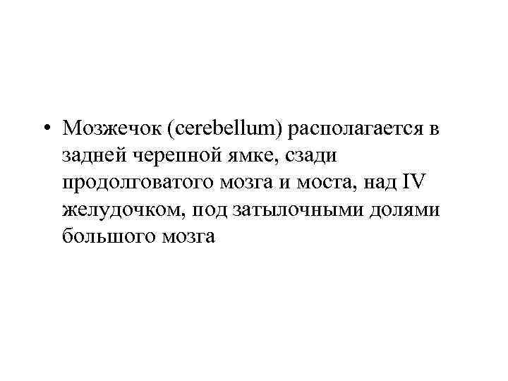  • Мозжечок (cerebellum) располагается в задней черепной ямке, сзади продолговатого мозга и моста,