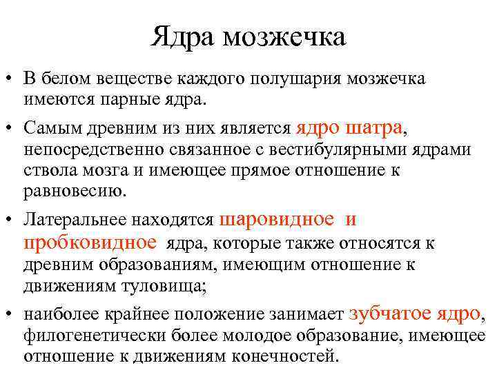 Ядра мозжечка • В белом веществе каждого полушария мозжечка имеются парные ядра. • Самым