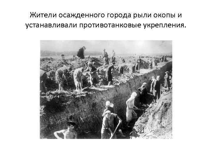 Жители осажденного города рыли окопы и устанавливали противотанковые укрепления. 