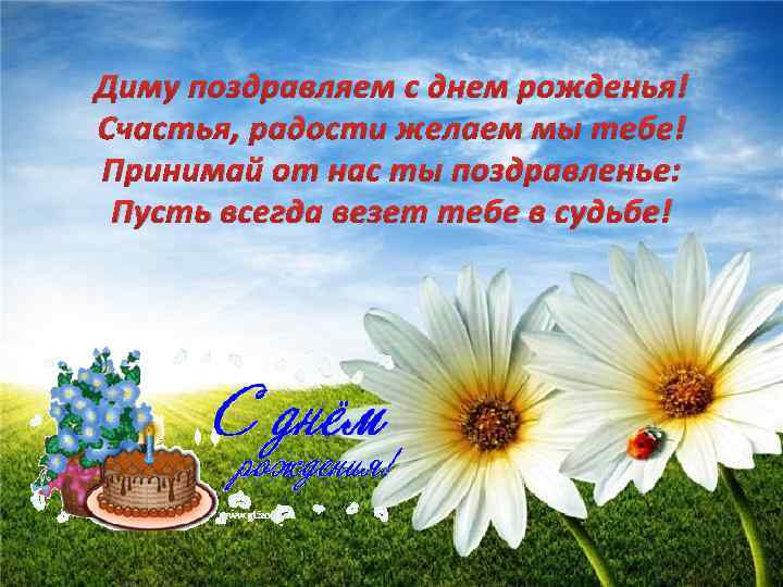 Диму поздравляем с днем рожденья! Счастья, радости желаем мы тебе! Принимай от нас ты