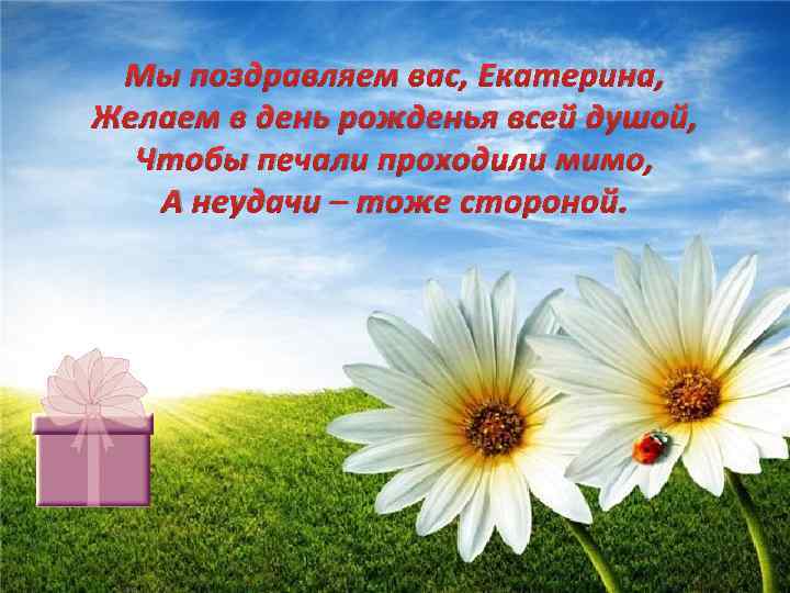 Мы поздравляем вас, Екатерина, Желаем в день рожденья всей душой, Чтобы печали проходили мимо,