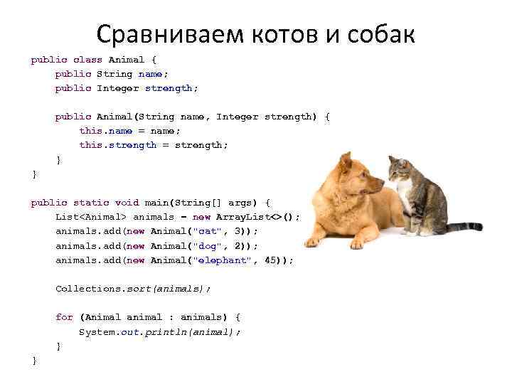 Сравниваем котов и собак public class Animal { public String name; public Integer strength;