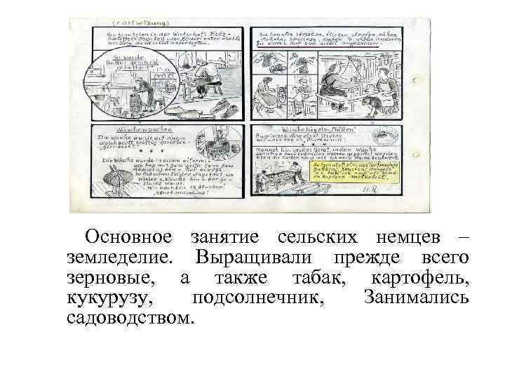  Основное занятие сельских немцев – земледелие. Выращивали прежде всего зерновые, а также табак,