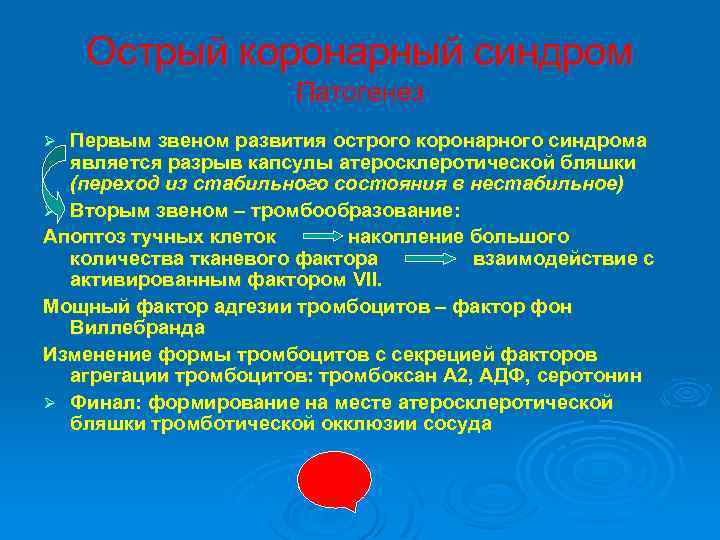 Острый коронарный синдром Патогенез Первым звеном развития острого коронарного синдрома является разрыв капсулы атеросклеротической