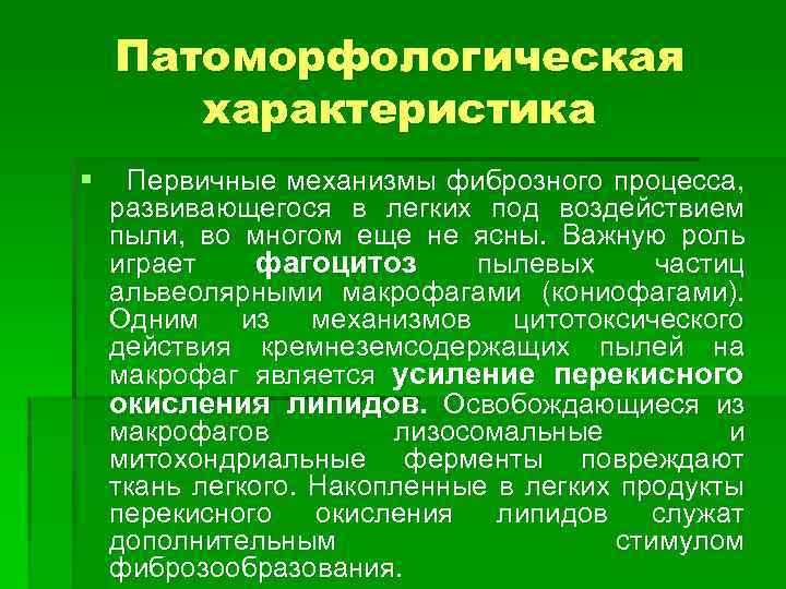 Патоморфологическая характеристика § Первичные механизмы фиброзного процесса, развивающегося в легких под воздействием пыли, во