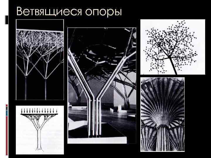 Ветвящиеся опоры 