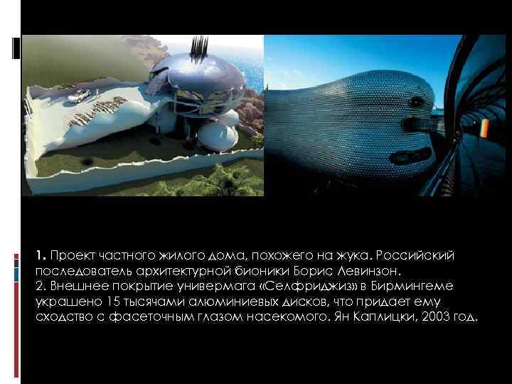 1. Проект частного жилого дома, похожего на жука. Российский последователь архитектурной бионики Борис Левинзон.