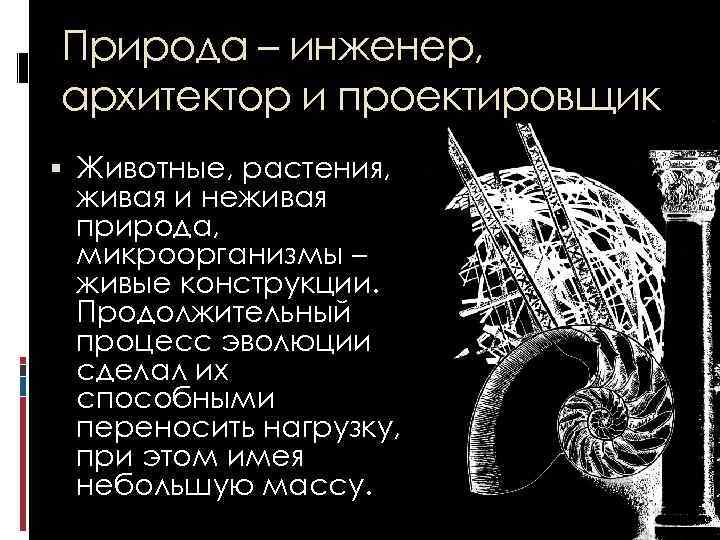 Природа – инженер, архитектор и проектировщик Животные, растения, живая и неживая природа, микроорганизмы –