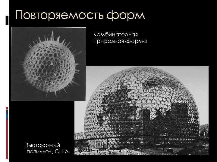 Повторяемость форм Комбинаторная природная форма Выставочный павильон, США 