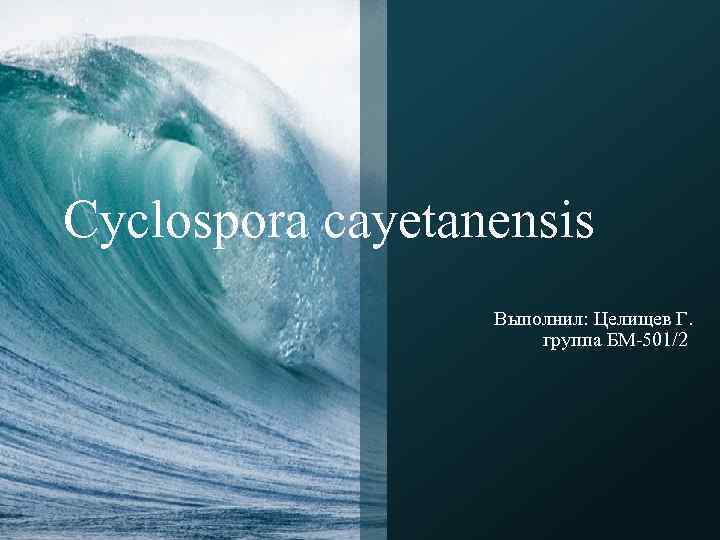 Cyclospora cayetanensis Выполнил: Целищев Г. группа БМ-501/2 