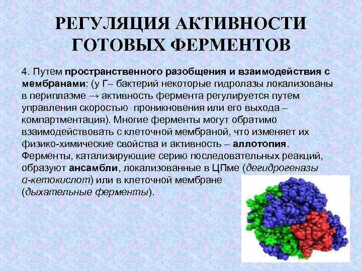 Биотехнология ферментов презентация