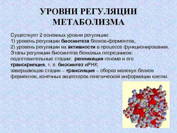 Биотехнология ферментов презентация