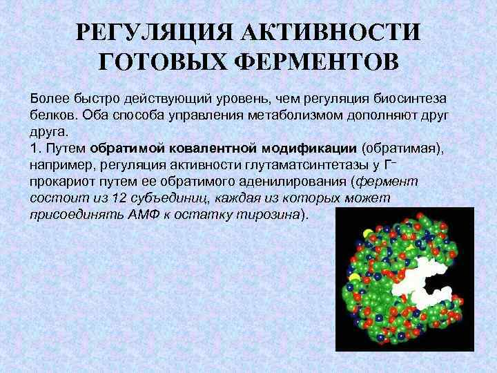 Проект ферменты заключение