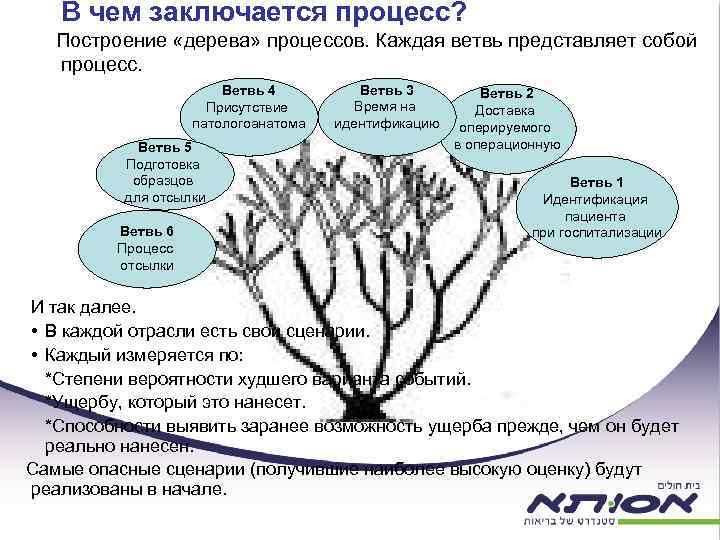 В чем заключается процесс? Построение «дерева» процессов. Каждая ветвь представляет собой процесс. Ветвь 4