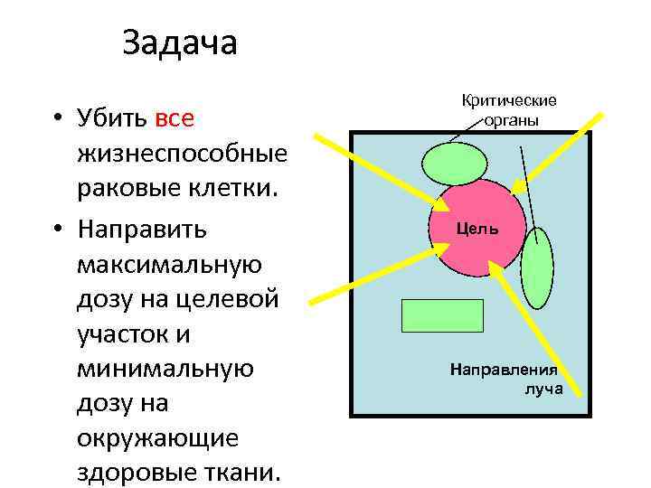 Задача • Убить все жизнеспособные раковые клетки. • Направить максимальную дозу на целевой участок