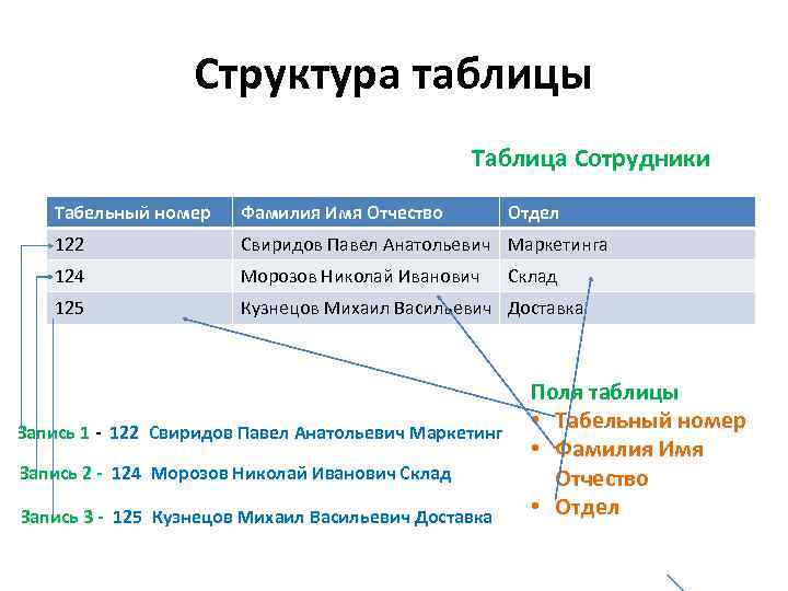 Структура таблицы базы данных