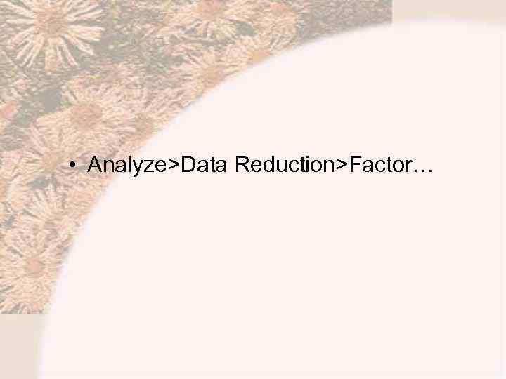  • Analyze>Data Reduction>Factor… 